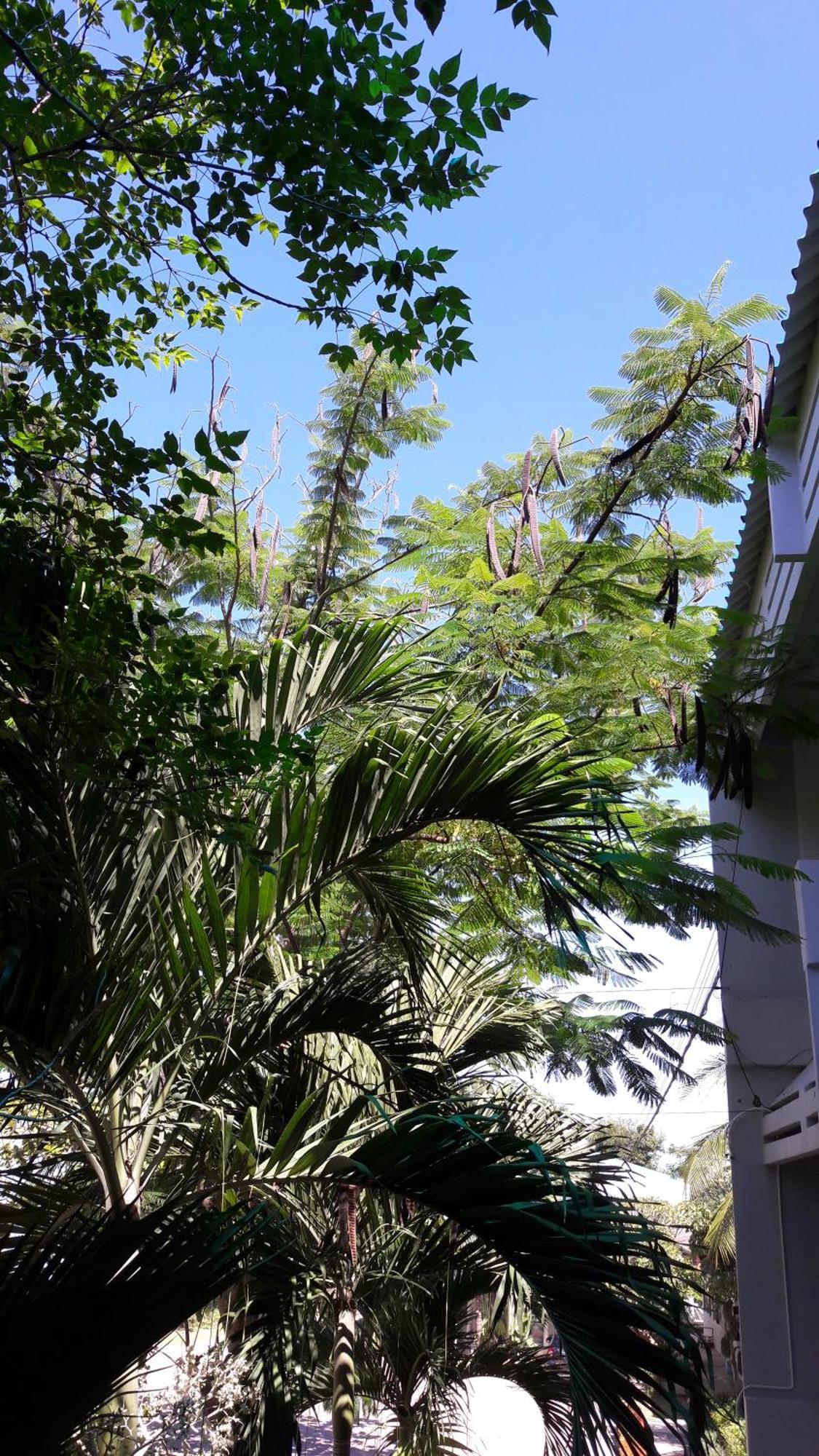 Addera Residence Hua Hin Exterior photo